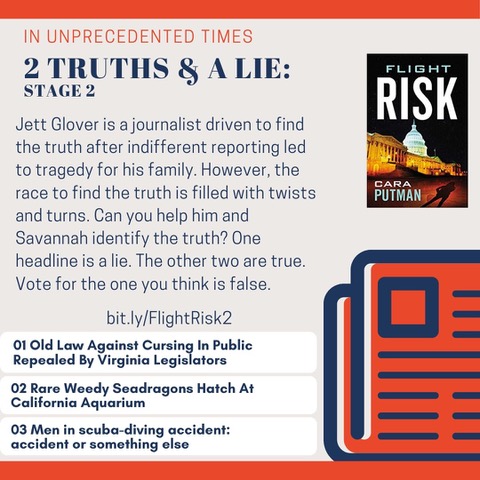 Flight Risk Book Cara Putman's Flight Risk Hunt for Truth - Lindsay Harrel - Author of ...